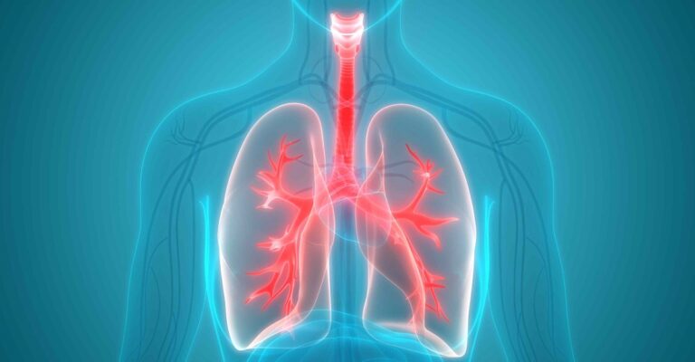 Estudo traz revelações importantes sobre o Ferro na saúde humana