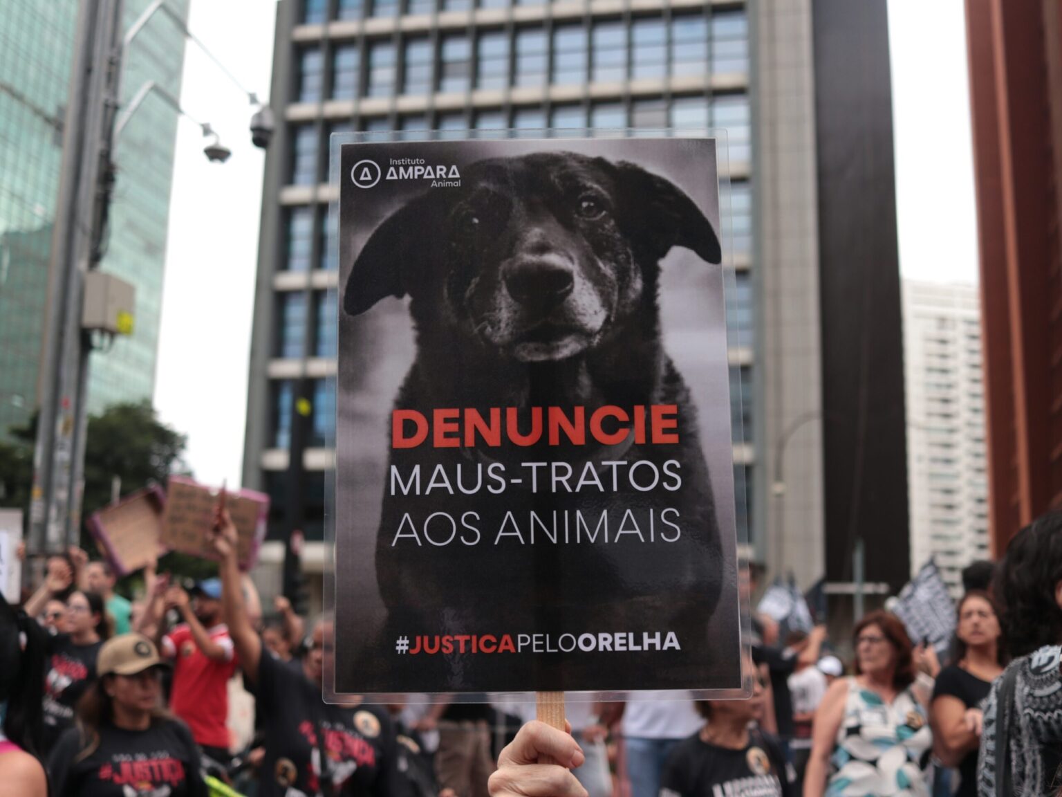 Manifestação na Avenida Paulista pede justiça pela morte do cão Orelha