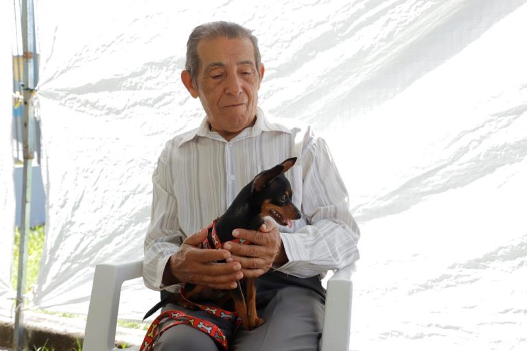 Barueri abre 250 vagas para castração gratuita de cães e gatos; agendamento começa às 8h do dia 4