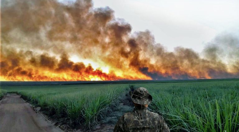 POLÍCIA MILITAR AMBIENTAL INTENSIFICA FISCALIZAÇÃO CONTRA QUEIMADAS EM TODO O ESTADO DE SP